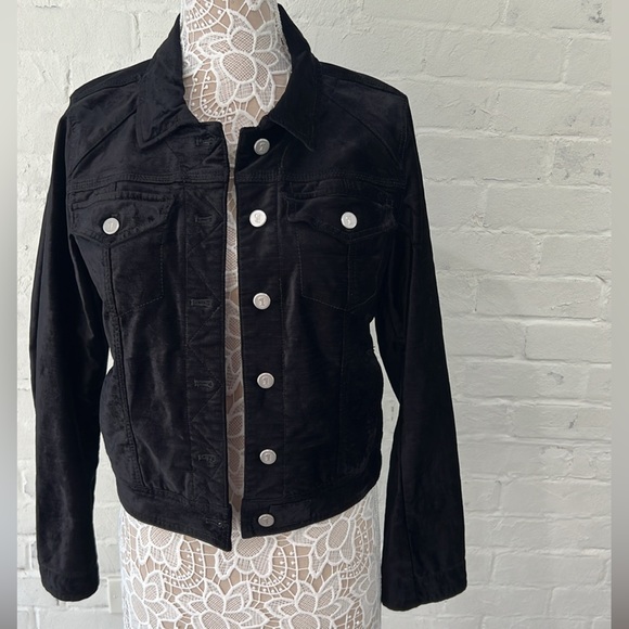 Pilcro and the Letterpress Velour Jacket - Picture 3 of 7